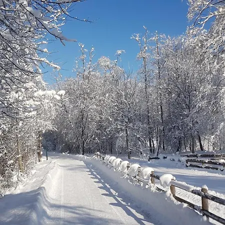 Апарт-отель Matthias Майрхофен