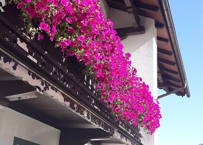 Matthias Apartahotel Mayrhofen